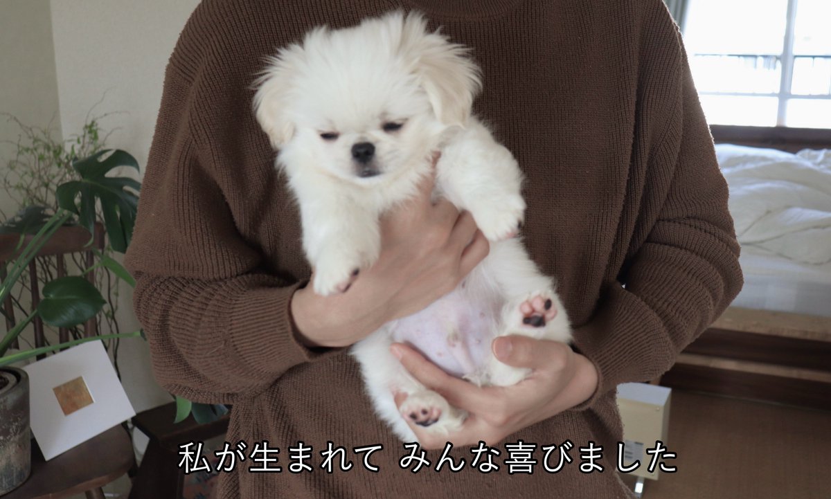 𝐿𝑂𝑉𝐸𝑌𝑂𝑈 (@the_mucho_world) on Twitter photo 