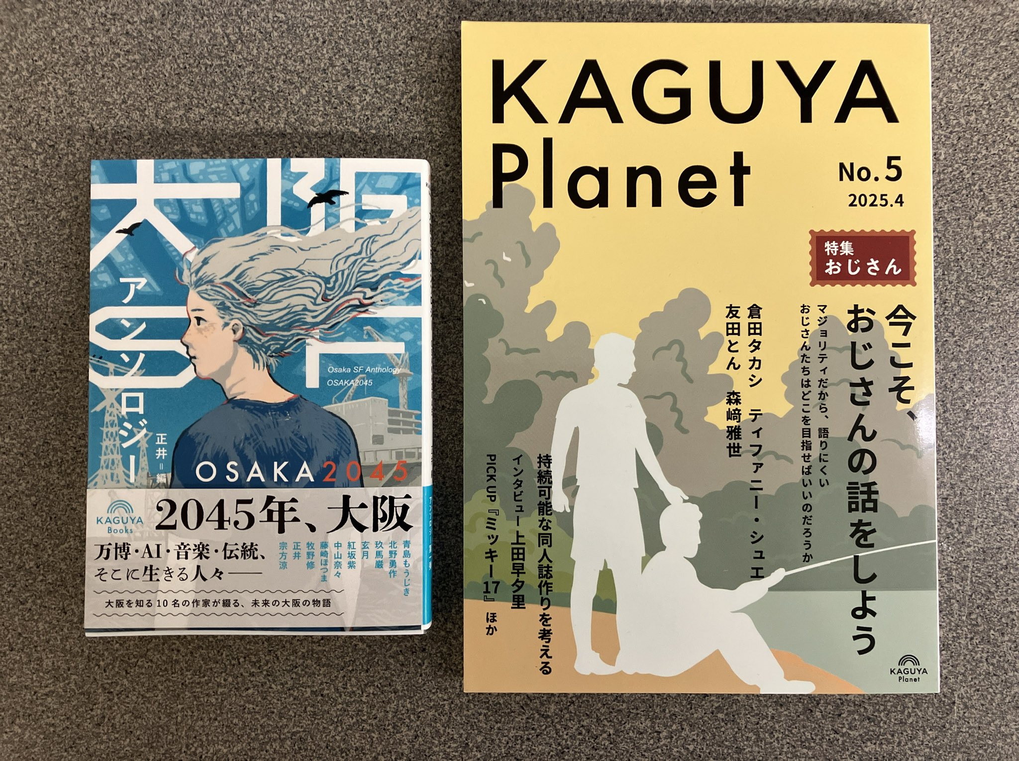 Fictions of Discourse 物語論の読み方 Fictions of Discourse 物語論の読み方