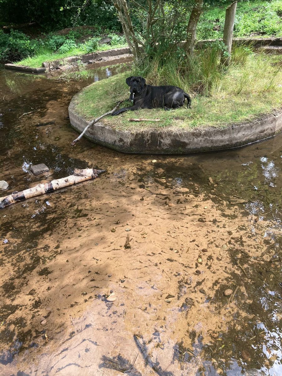 🤣🤣🤣🤣🤣 💕🐾