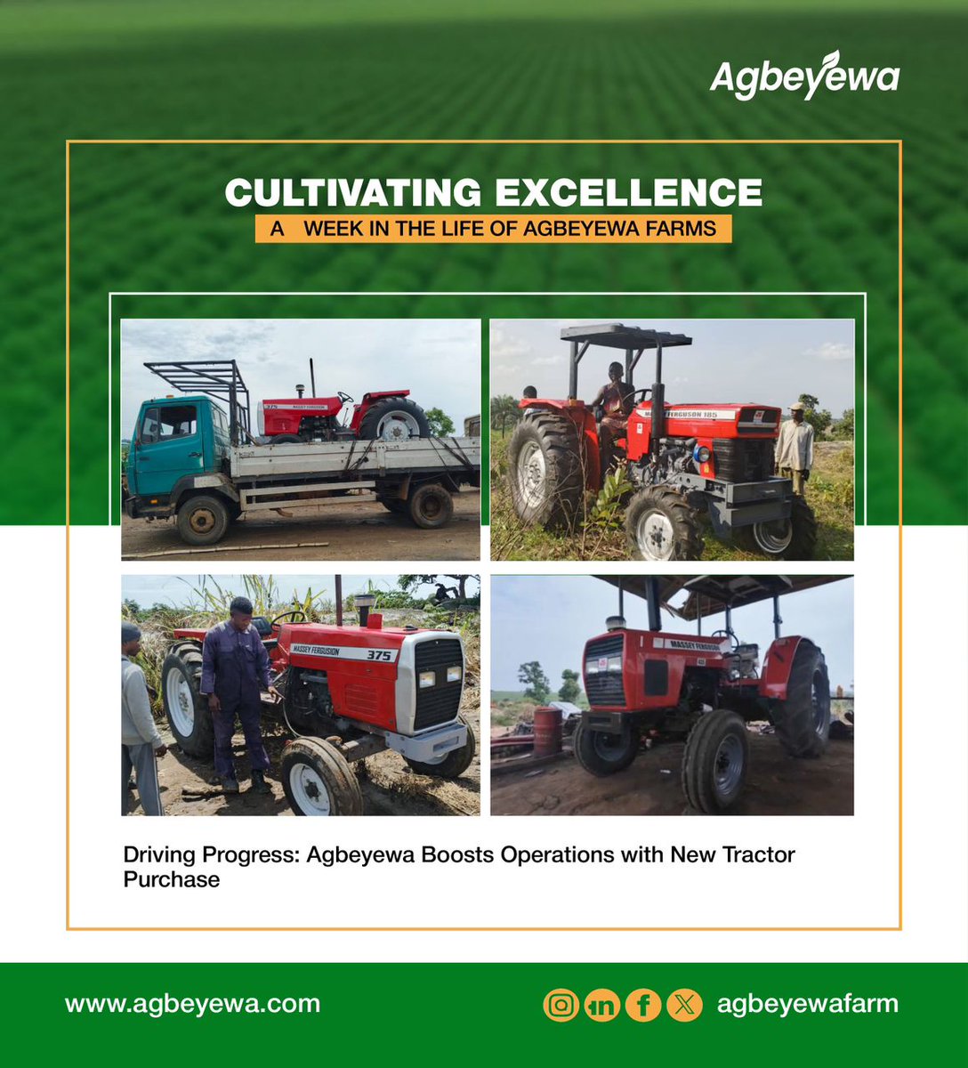 Cultivating Excellence

At Agbeyewa Farms, each week we sow seeds of progress, nurture innovation, and cultivate results that uplift communities and strengthen our roots in agricultural excellence. 

Here’s a view of the progress we made this week.