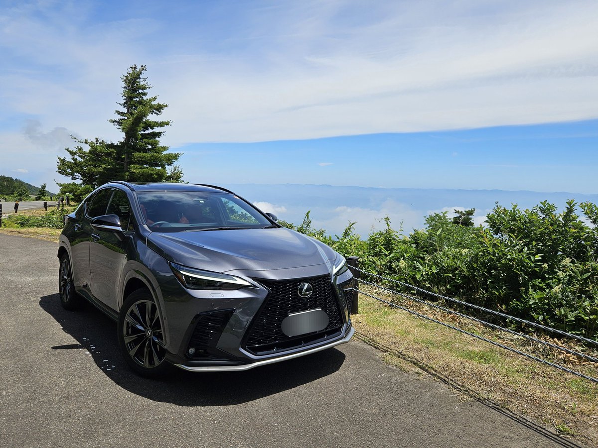 ⚠️専用ページ⚠️200t NX様 2016 Lexus NX, 200T F Sport | JTJYARBZ8G2027670 | Bid