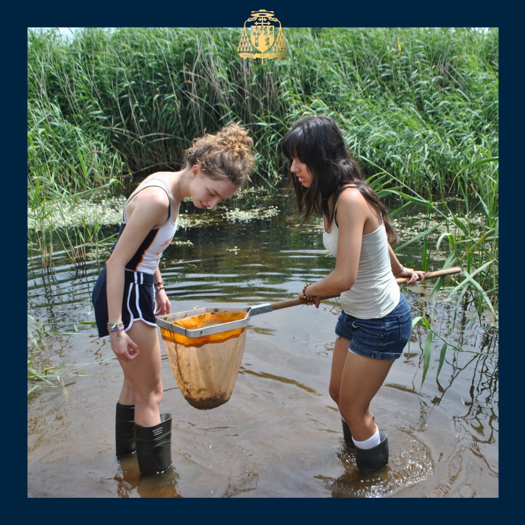CardinalVaughan's tweet image. Sixth Form Biology pupils went on a biology field trip to Slapton. Molly and Anna in the Upper Sixth described the trip as "academically stimulating experience which aided our development of scientific skills, practical knowledge and understanding of ecology."