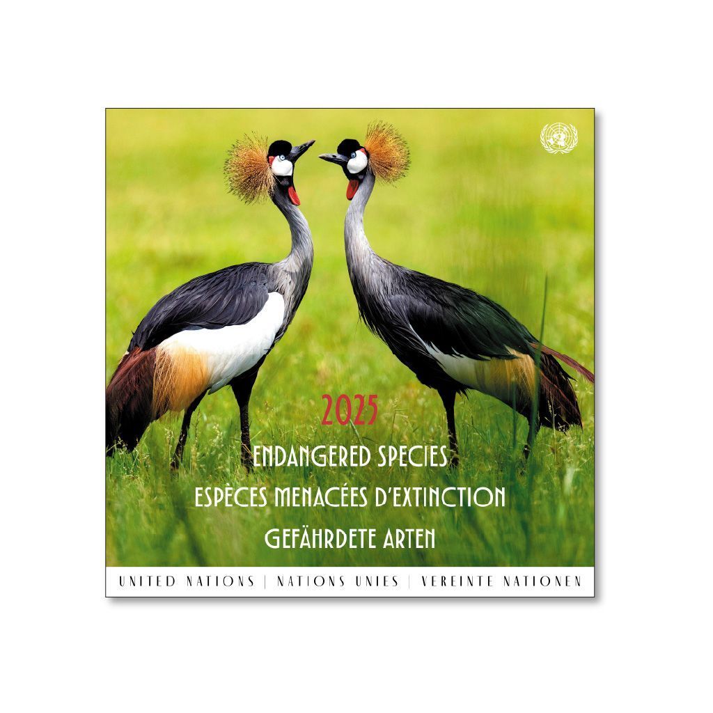 UNGeneva's tweet photo. One million species are at risk of extinction due to human activity.

The 2025 Endangered Species @unstamps featured those species, available at: https://t.co/bDuqmnOgFg 

#BuildBackBiodiversity https://t.co/quyJuPbQrK