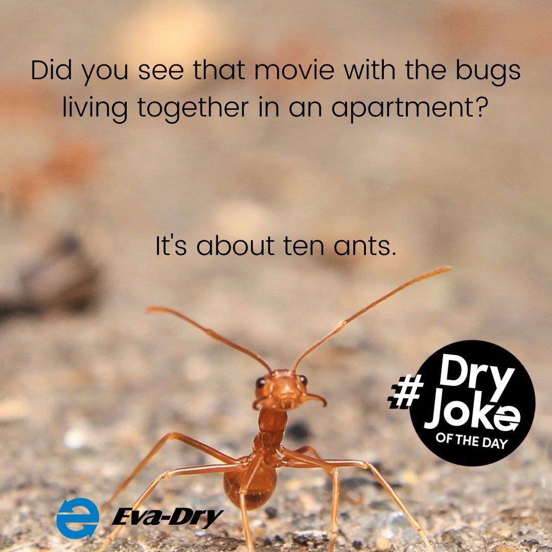 Eva_Dry's tweet photo. #DryJoke
Protect your rental properties with #EvaDry #dehumidifiers to prevent the damages caused by excess #moisture. https://t.co/NQQTP0vUlg