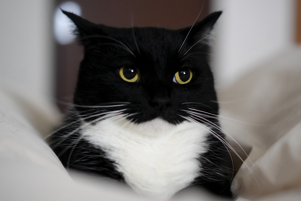 Why am I this strong…?