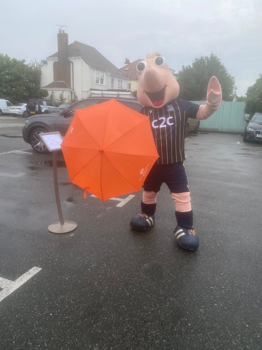 shrimp_sammy's tweet image. Today i spent the morning litter picking on our beaches ⛱️ I had a great time and greatful to all our community for inviting me along 💙 🍤