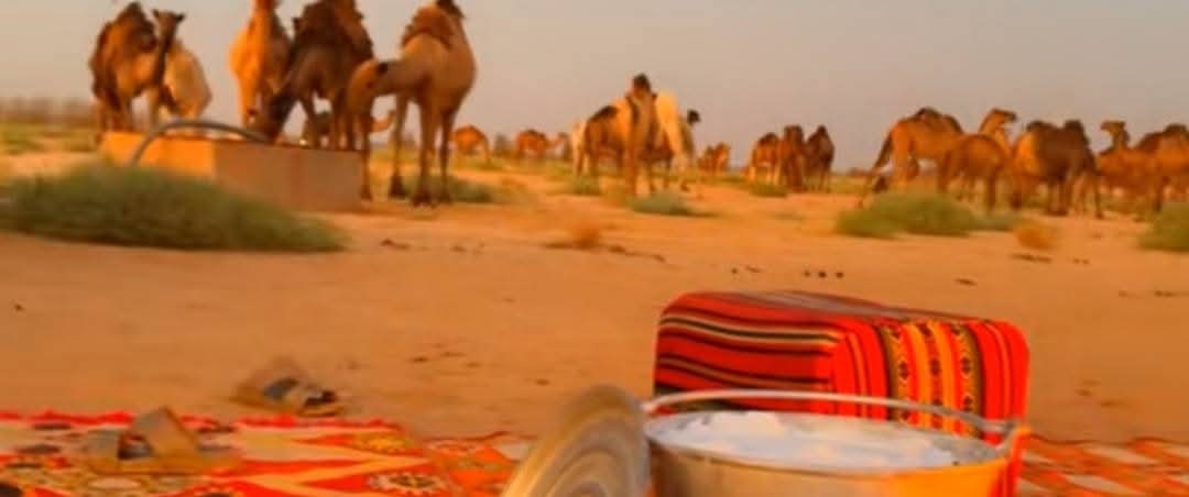 نفسك على العز سقها للعلا والصعود 
مهما تشوف الظروف القاسيه متعبه
