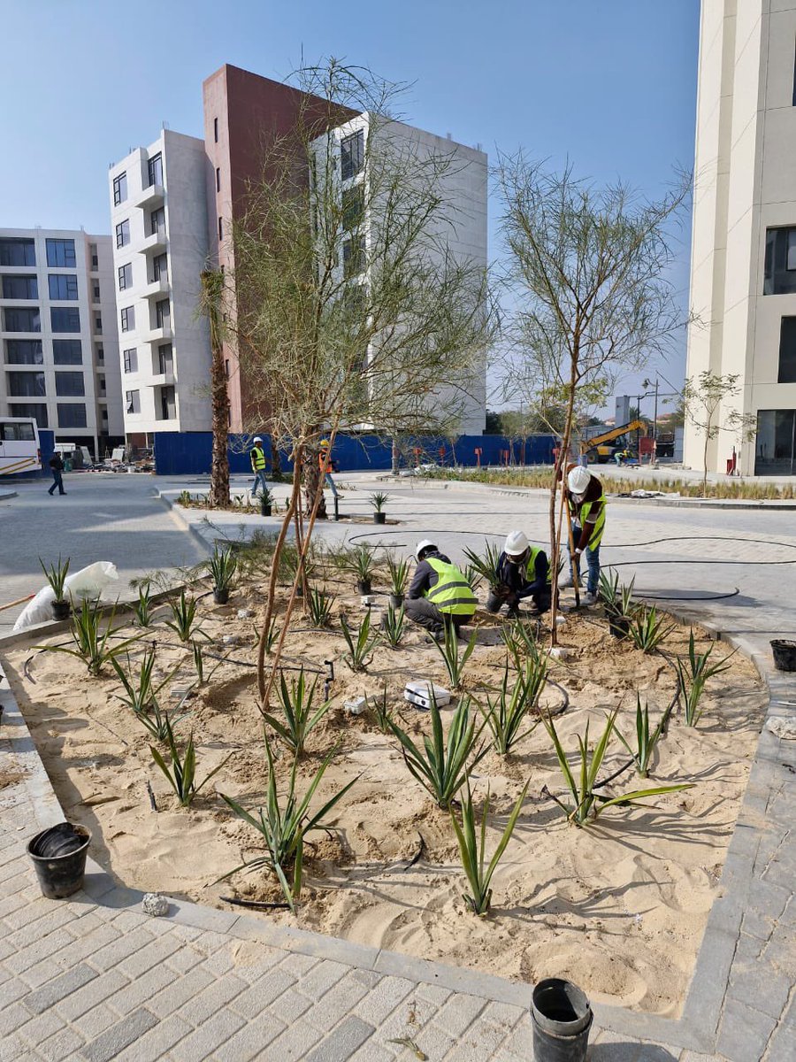 شركة جنا نجد tweet media