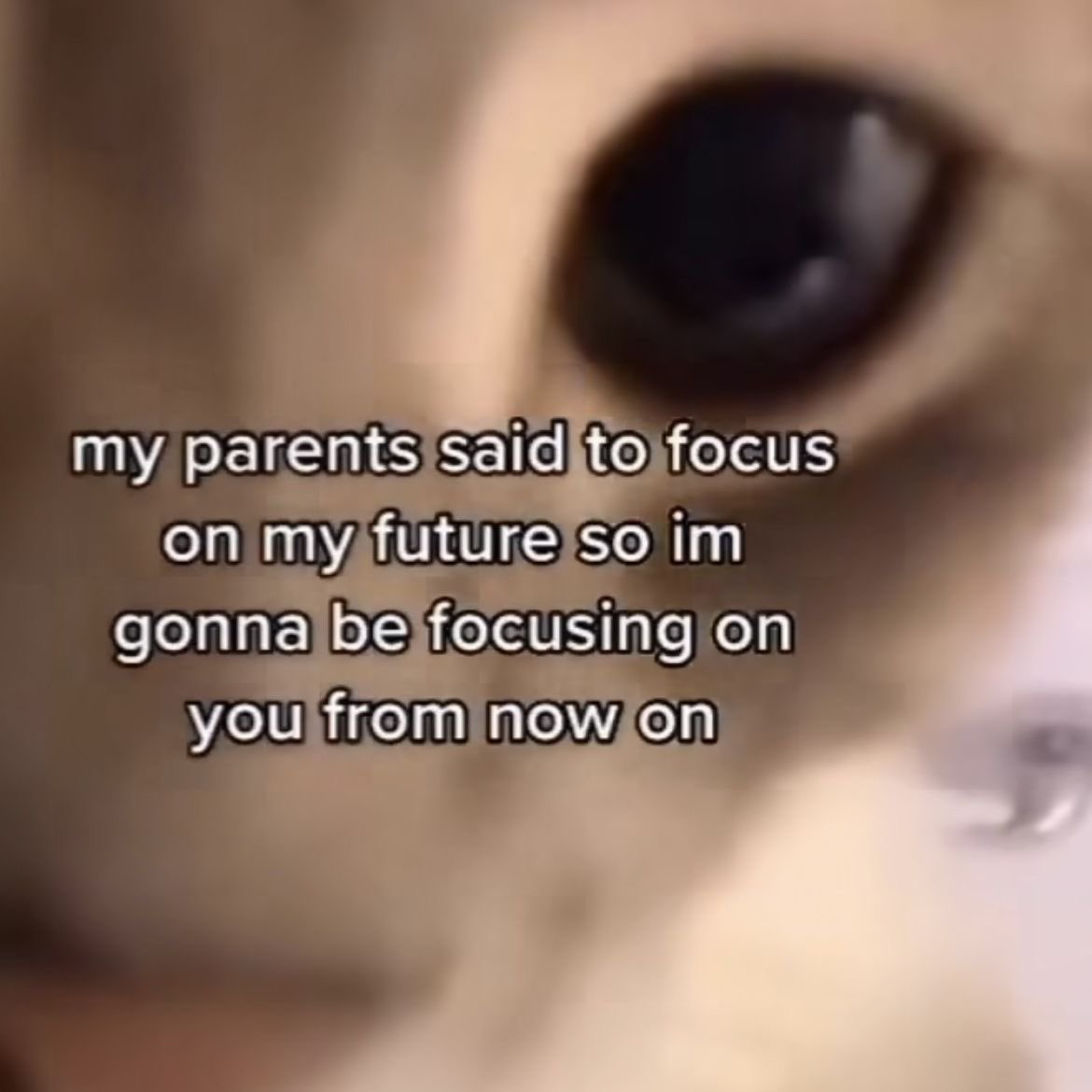 ♡ (@softheavens) on Twitter photo 