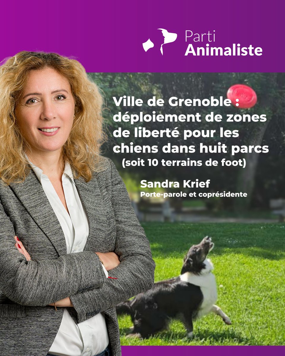 Parti animaliste (@partianimaliste) on Twitter photo Dès cet été, la <a href="/VilledeGrenoble/">Ville de Grenoble</a> lance une expérimentation inédite en France, initiée par <a href="/SandraKrief/">Sandra Krief</a>, élue à la Condition animale : près de sept hectares de liberté pour nos compagnons à quatre pattes dans huit de ses parcs ! francebleu.fr/emissions/l-in… Dès cet été, la <a href="/VilledeGrenoble/">Ville de Grenoble</a> lance une expérimentation inédite en France, initiée par <a href="/SandraKrief/">Sandra Krief</a>, élue à la Condition animale : près de sept hectares de liberté pour nos compagnons à quatre pattes dans huit de ses parcs ! francebleu.fr/emissions/l-in…