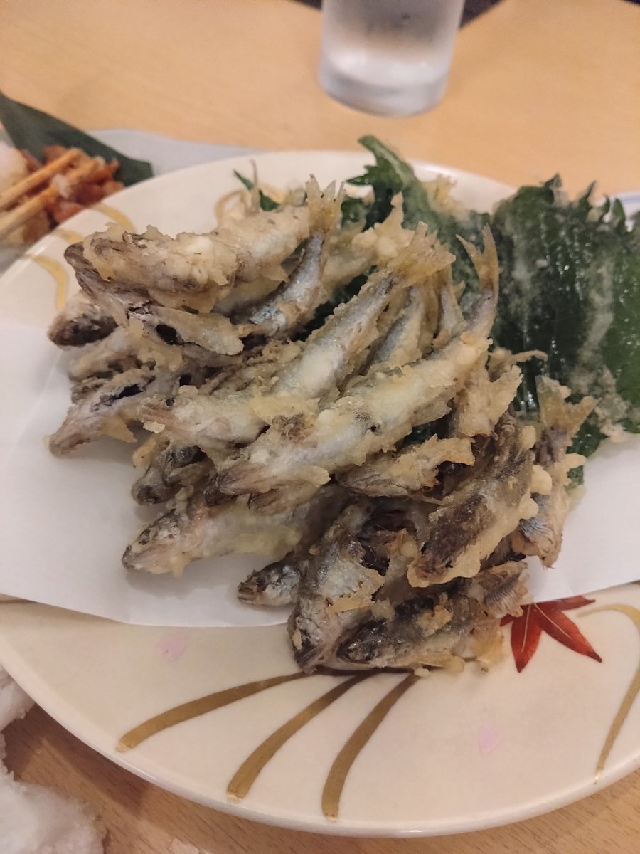 琵琶湖漁師の青壮年会として海洋資源や里海関係の研究者を全国からお招きして漁の現場を見て議論して琵琶湖の恵みをいただきました。
これが琵琶湖の明るい未来への大きな第一歩となることを願ってこれから一緒に未来を模索します。