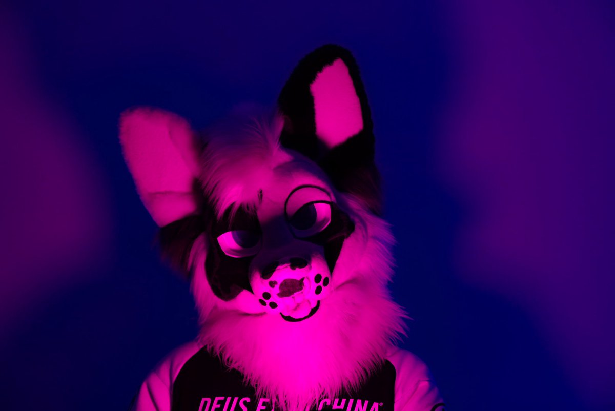 dadogmutt's tweet image. ✨Pretty in pink✨