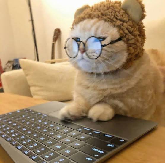 Gmonad 

This is me preparing my debate event on monad dc 🫢