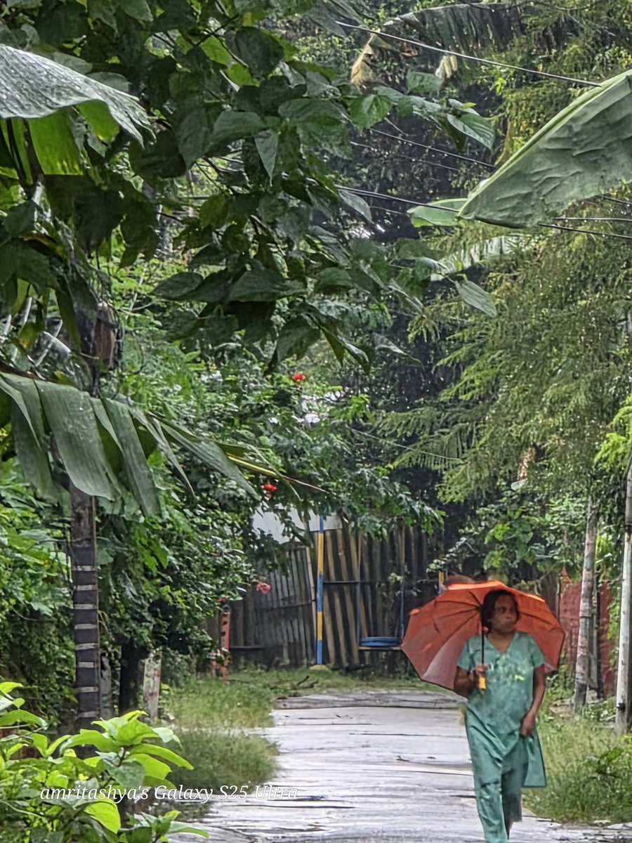 amritashya's tweet photo. A calm, rainy afternoon 🌧️ ☔️ #Rain #Afternoon #Weather #JulyUpdate #Oneui7 https://t.co/zcFN8HUL4d
