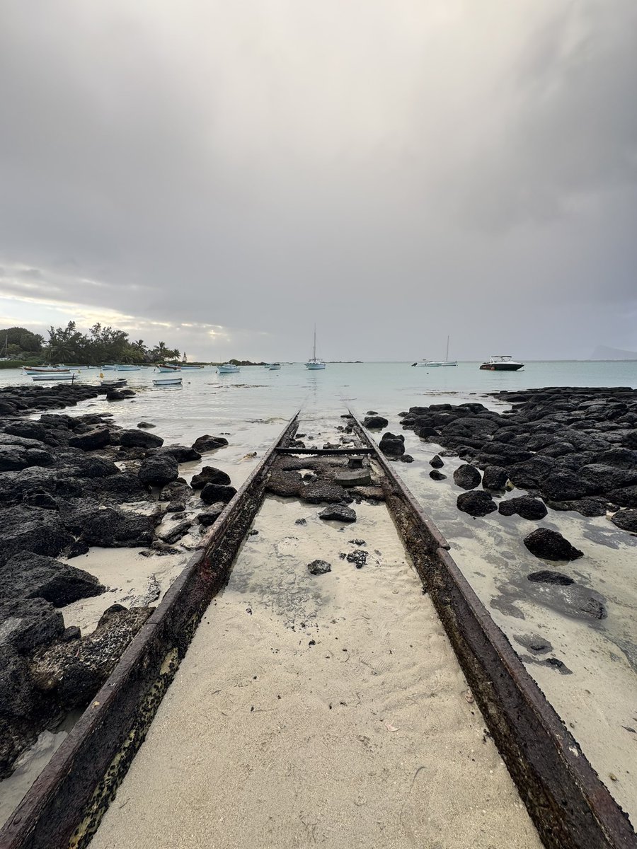 Aldo Sterone tweet media