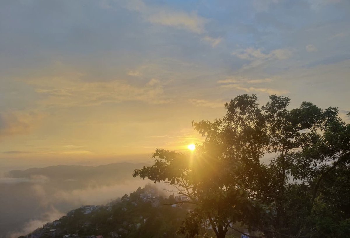 How about sunbeams for Saturday?!
A ray of hope, so to speak!  🌅☀️