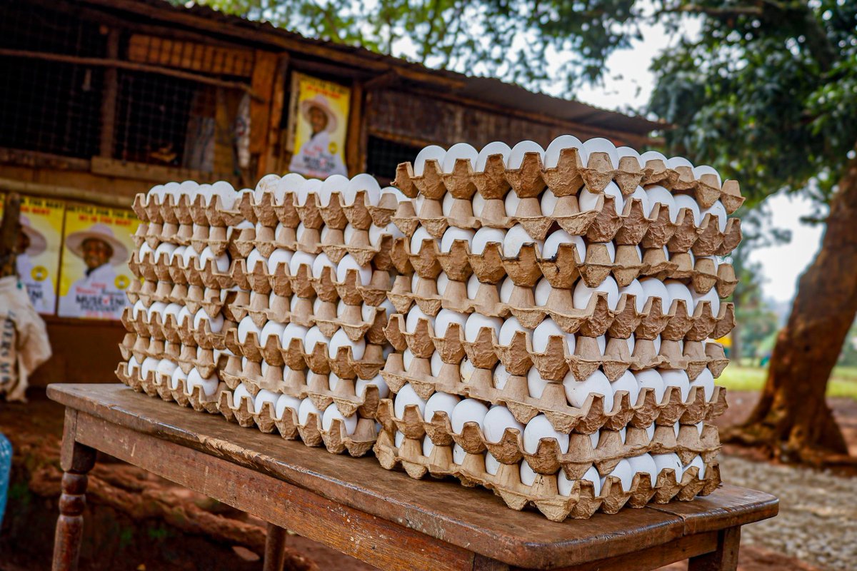 KagutaMuseveni's tweet image. Maama Janet and I visited Lillian Mbabazi in Banda. Our message is sinking in, and our people are beginning to wake up. Mbabazi’s growing poultry business, initially funded through the PDM, is a testament to this progress.
What we now need to establish is the number of parishes…