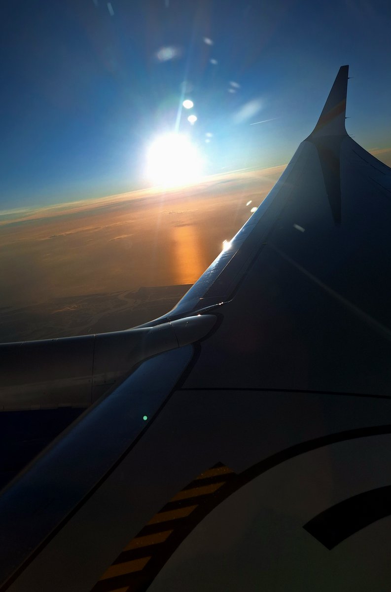 J͎am̶es N. 🤨 tweet media