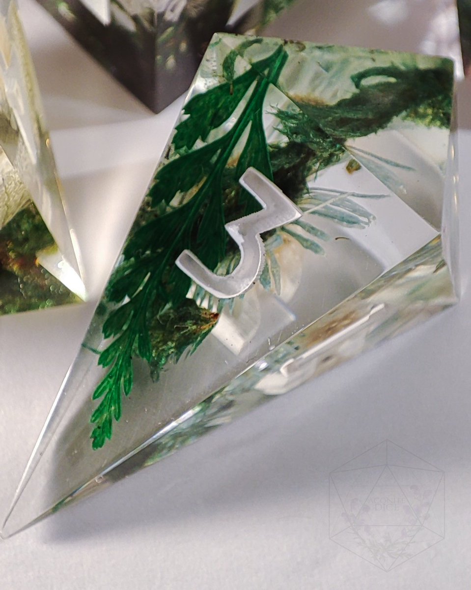 Aconite Dice 🌿 tweet media