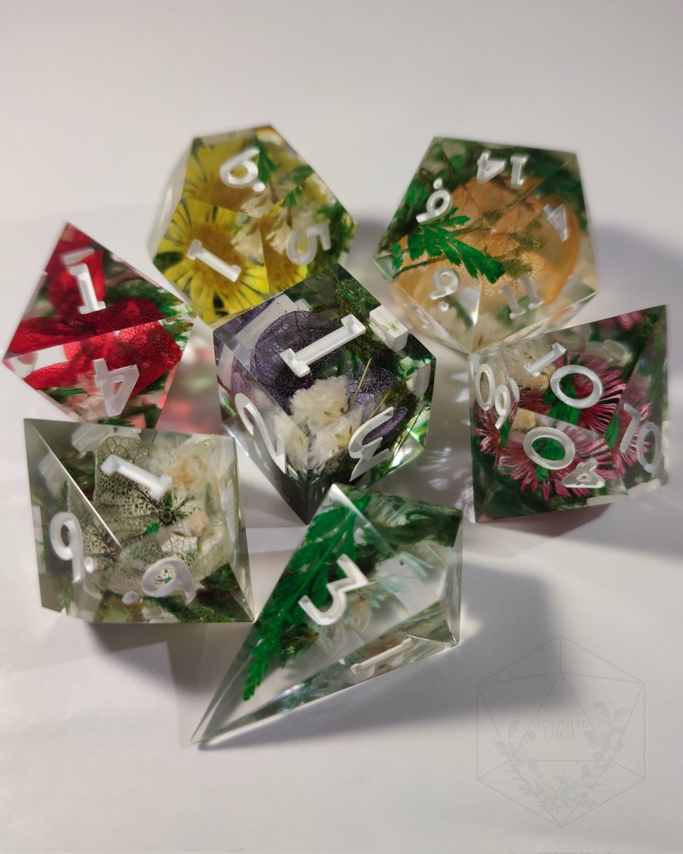 Aconite Dice 🌿 tweet media