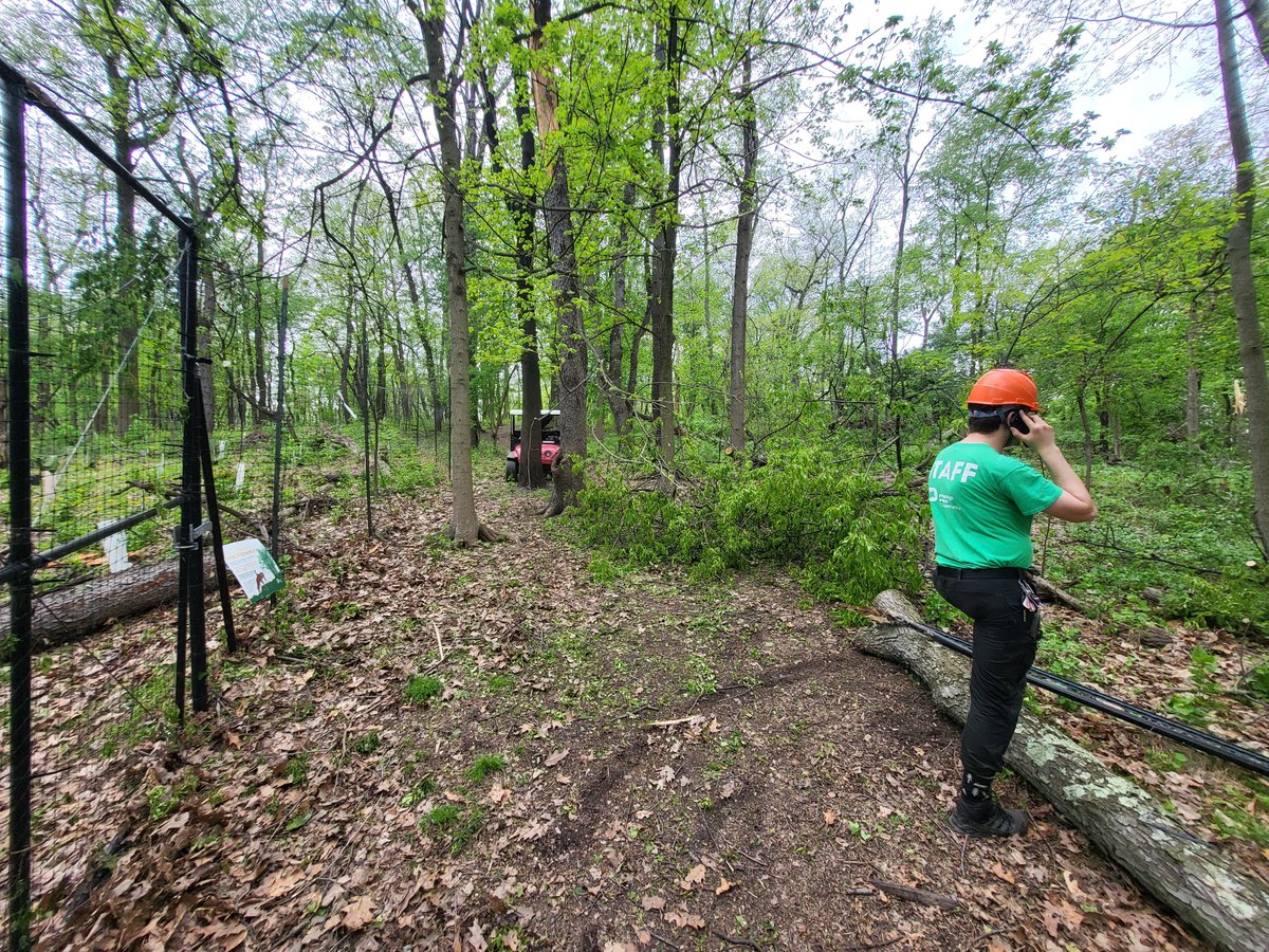 pittsburghparks's tweet image. 🌳 Why plant trees in Pittsburgh’s parks? Because every step you take in a city park is through a living forest—one that cleans our air, cools our neighborhoods, manages stormwater, and shelters local wildlife.
But our urban woodlands are under pressure.
Rising temperatures.…