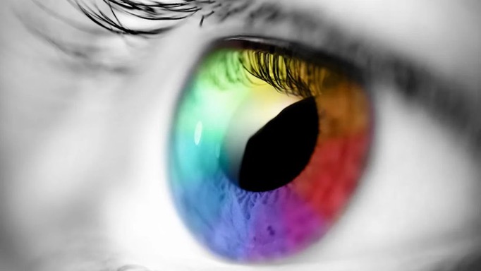 rpdnetwork's tweet image. 👁️🇰🇷 BREAKTHROUGH: Korean scientists disabled one protein—PROX1—and mice began *regrowing eye cells* for 6 months straight 👀

This could be a path to reversing blindness in humans. Sci-fi? Not anymore.

#VisionScience #BlindnessCure #PROX1 #Korea #PopularMechanics  
#AGI…
