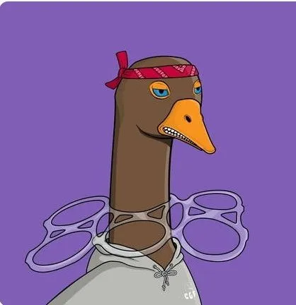 Blessed4aDay's tweet image. Won this @CrazyGooseFlock yesterday from the @reskulis discord. Thanks again @native_algo 🍻
#GetSkuli #Algorand #BuySkuliFrens
