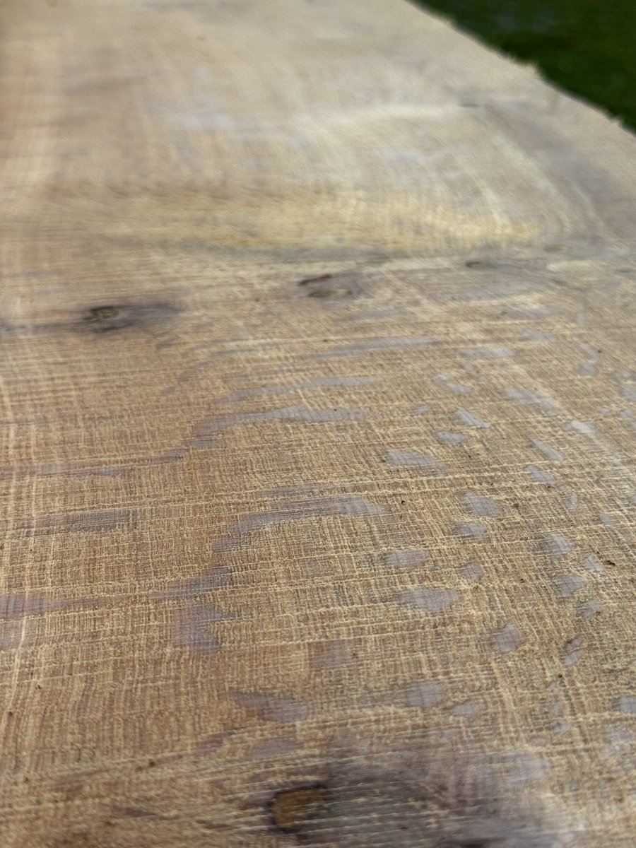 WadingSmith's tweet image. Good Saturday morning.
We’re sawing away the day on the Weaner Family Farm in Gettysburg, PA. Swamp Oak is on the menu and it’s time to eat.