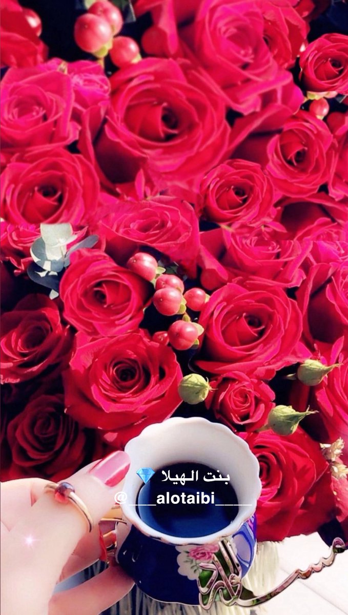 ___alotaibi____'s tweet image. مساء القهوة🌹