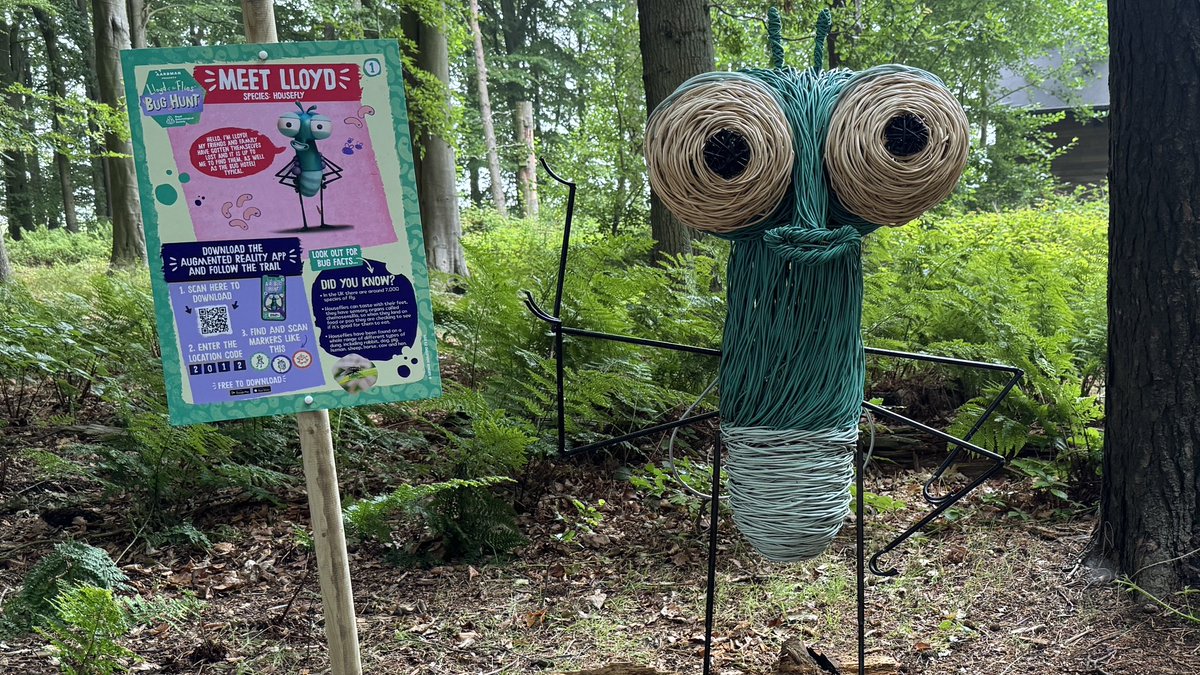 Michael Poulter (@michaeljpoulter) on Twitter photo Yesterday we talked about the Bees 🐝<a href="/JarrowHall/">Jarrow Hall</a> - today it was all about Lloyd the housefly 🪰 and other things <a href="/Nlandia/">Northumberlandia</a> 📻#MichaelOnTheMove 🚙 <a href="/BBCNEandCumbria/">BBC North East</a> #BBCRadioNewcastle Yesterday we talked about the Bees 🐝<a href="/JarrowHall/">Jarrow Hall</a> - today it was all about Lloyd the housefly 🪰 and other things <a href="/Nlandia/">Northumberlandia</a> 📻#MichaelOnTheMove 🚙 <a href="/BBCNEandCumbria/">BBC North East</a> #BBCRadioNewcastle