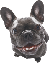 _eComSystems's tweet image. Firefox TEST...