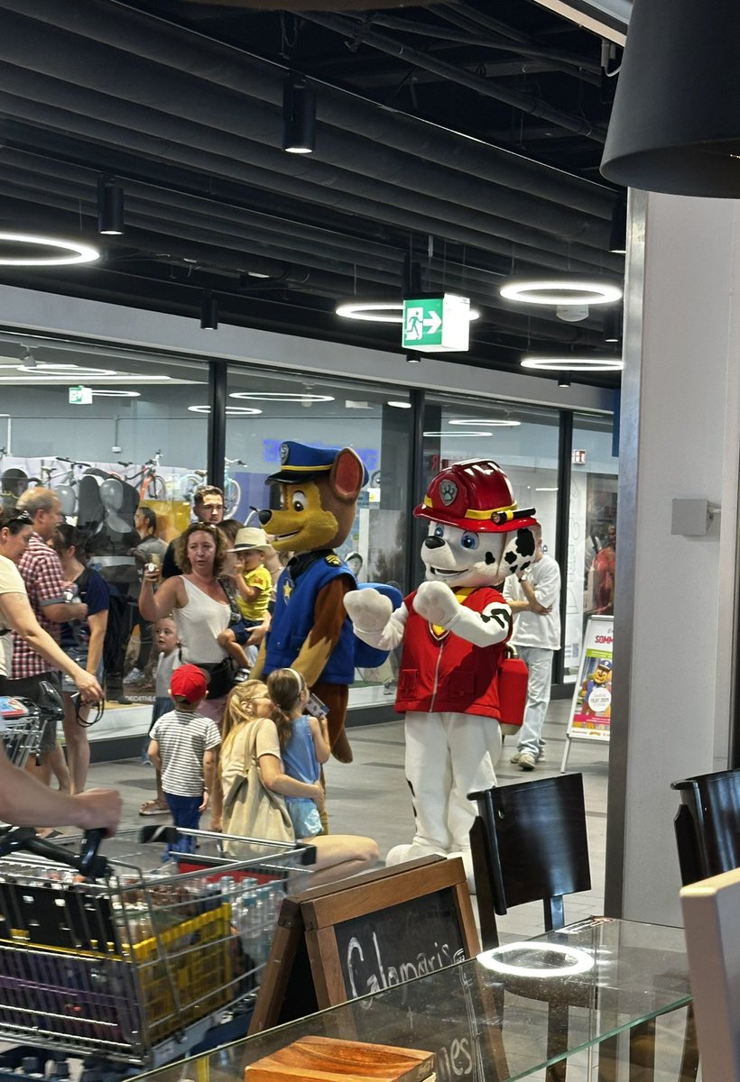 Fkn paw patrol showed up at work 💔 hate being employed