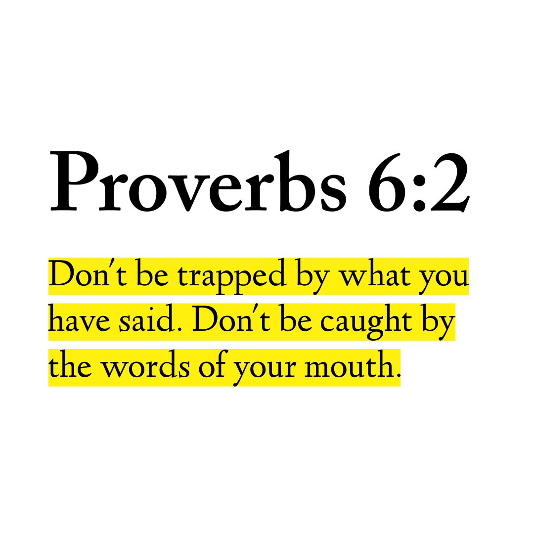 Holy Bible tweet media