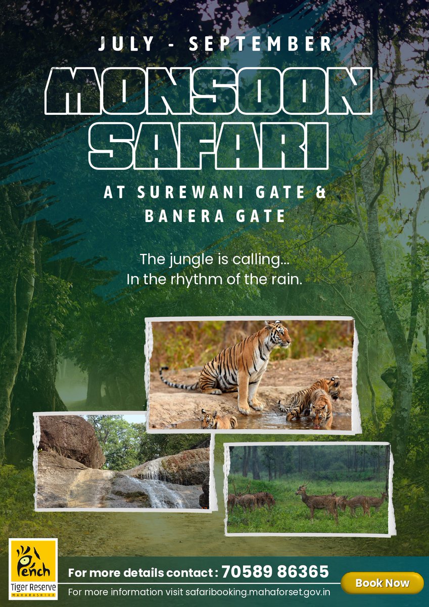 Monsoon Safari is Here!
July – September | Pench Tiger Reserve – Maharashtra
Surewani Gate &amp; Banera Gate
📞 For bookings: 70589 86365
🌐 Visit: safaribooking.mahaforest.gov.in
🎟️ Limited slots! Book Now and feel the wild pulse of the rainy forest.
#PenchTigerReserve #MonsoonSafari #pench