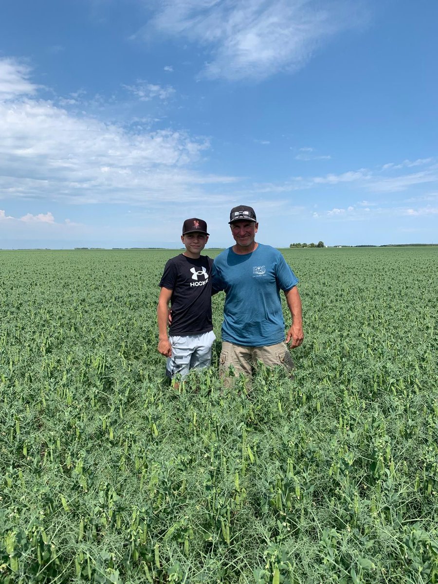Canadian Agronomics (@cagronomics) on Twitter photo Rob Manaigre and his son, Max are outstanding in their field! π  They were happy to show off their Peas and Oats earlier this week in Lorette, Manitoba. 
Rob has found success using our iQ Phos on his canola & soybeans, as well as Release HA & iQ Iron on IDC susceptible fields. Rob Manaigre and his son, Max are outstanding in their field! π  They were happy to show off their Peas and Oats earlier this week in Lorette, Manitoba. 
Rob has found success using our iQ Phos on his canola & soybeans, as well as Release HA & iQ Iron on IDC susceptible fields.