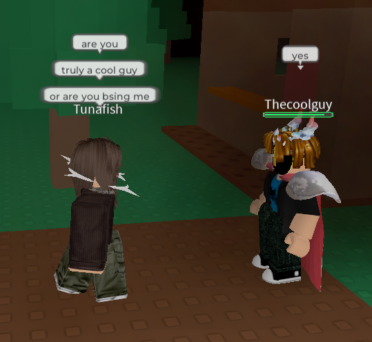 DignityRoblox's tweet image. Random interaction in the hit game "Break In And Steal Thingz".