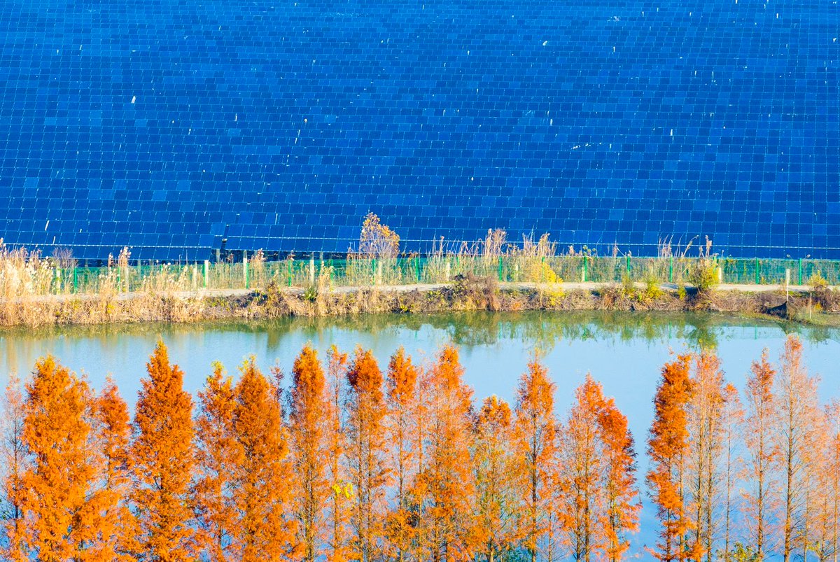 「电幻国度」

更多图片及出处请见 theatlantic.com/photography/ar…