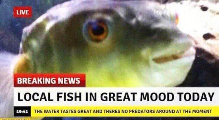 WholesomeMemes (@wholesomememe) on Twitter photo 