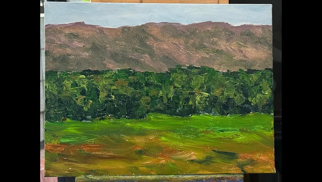 Susilo Bambang Yudhoyono shares a painting he made while under medical care with an IV in his hand.