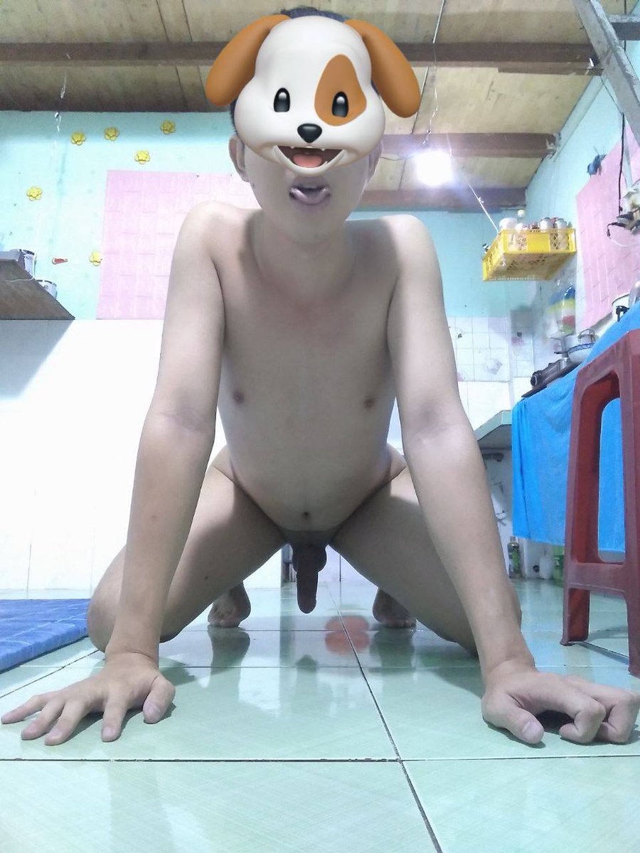 Con chó xin chào mn