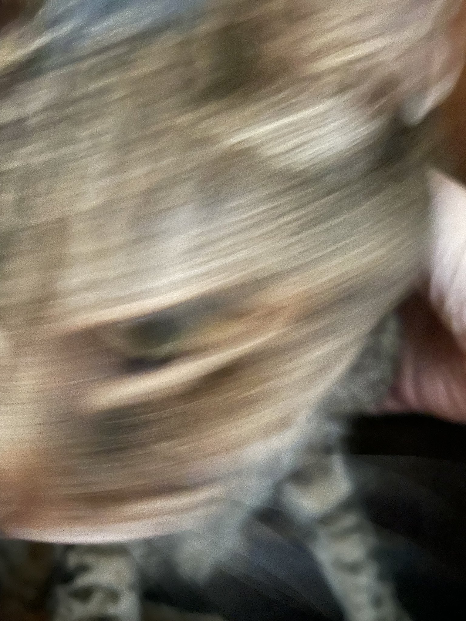 失敗される猫 hq720.jpg?sqp=-