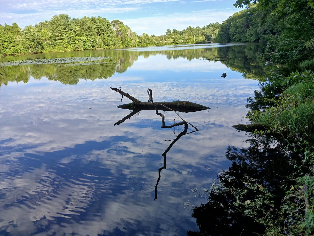 MrPhill_Good's tweet image. 