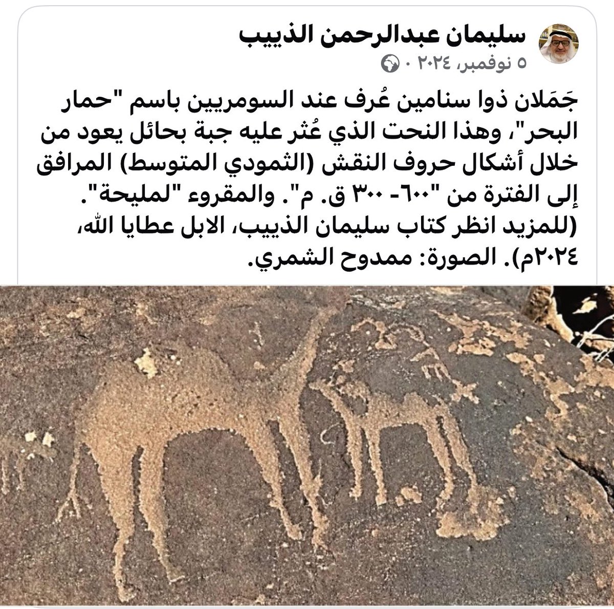 Alsarem_15's tweet image. ناقة بسنامين في الرسومات الصخرية في جبال #جبة بمنطقة #حائل .
هذه الناقة من رسومات الثمودية ( ملحة )
#نقوش_جبة
#نقوش_حائل
#نقوش_السعودية
##رؤية_السعودية_2030