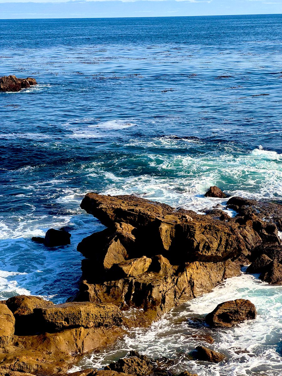 SAL438245's tweet image. Good morning everyone ⭐️
I wish I was here but off to work. What are you doing today?