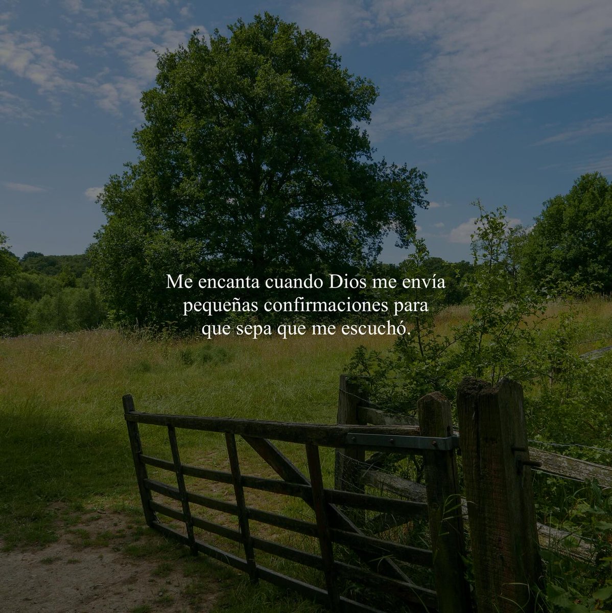 el Siervo (@elsiervo__) on Twitter photo 