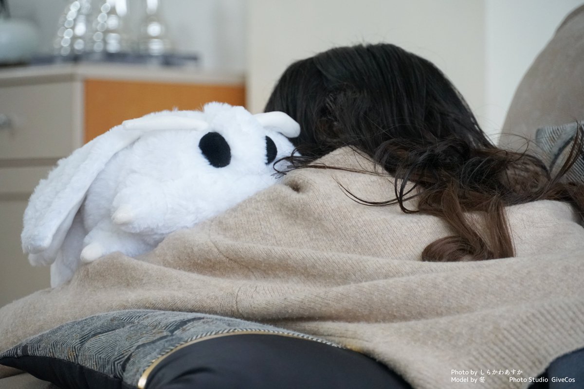 life_with_moth's tweet image. Big, fluffy moths kept at home