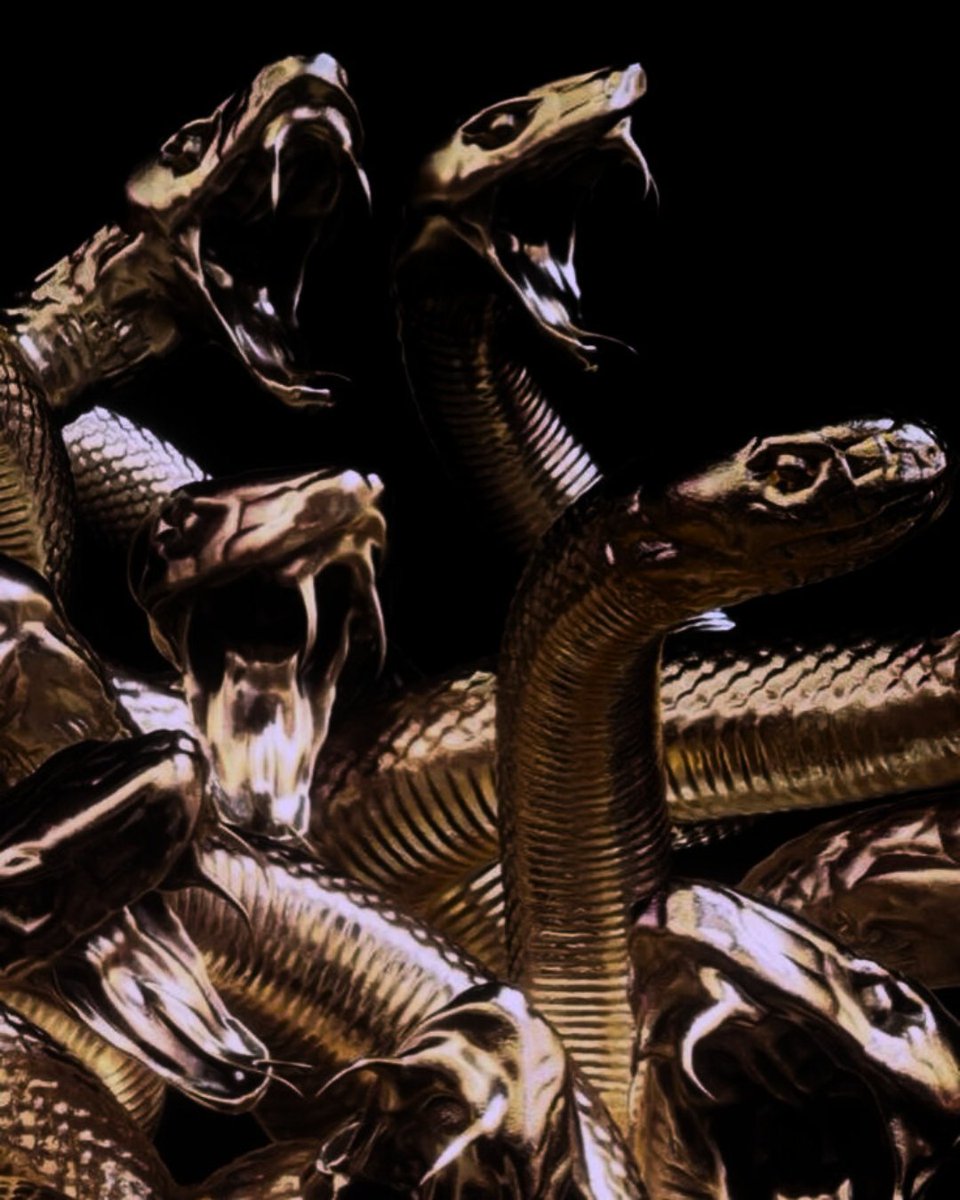 Acke Rønningen tweet media