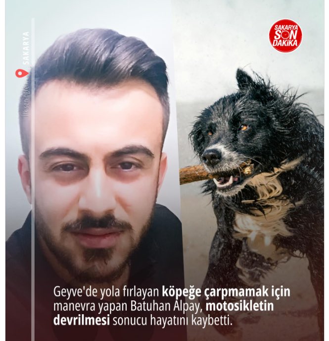 Sadece son bir haftada 3 insanımız sahipsiz köpekler yüzünden hayatını kaybetti.

Bu vebal, milletin canını korumakla görevli olduğu halde korumayanlarındır, insanların canını rant uğruna hiçe sayanlarındır.