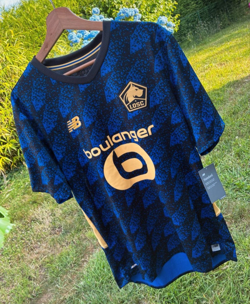 Go Rijsel tweet media