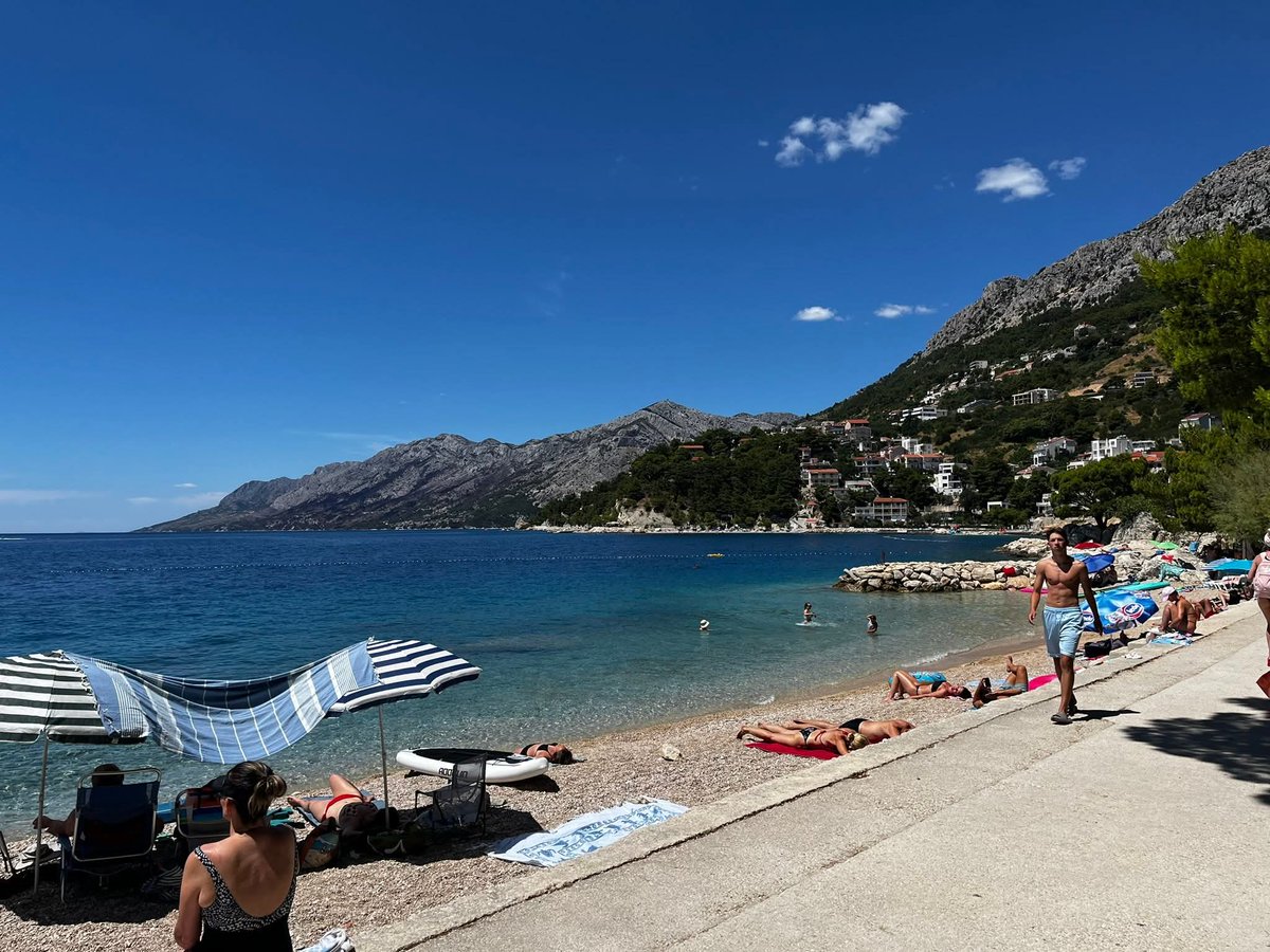 FraneIkic's tweet image. 🌴 🍺